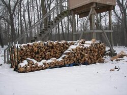 wood pile 3.JPG