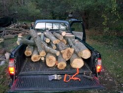 Load of logs.16.jpg