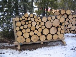 firewood pallet.jpg