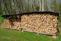 When to uncover wood pile?