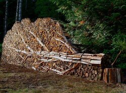 firewood-art1.jpg