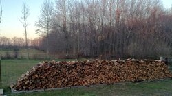 wood pile (1).jpg