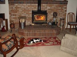 Fireplace Insert Advice for Newbie (floorplan & pics incl.)