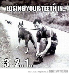 funny-dog-leash-teeth.jpg