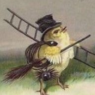 chimneychick
