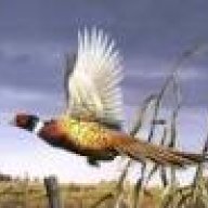 Birdman1