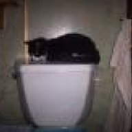 vvvv