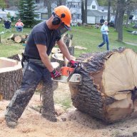 amateur cutter