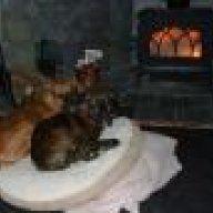 My Oslo heats my home
