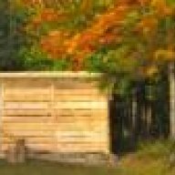 Manitoulin Maples