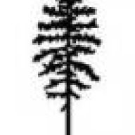 tamarack