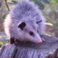 Woods Dweller