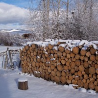 Wood-Pile-002