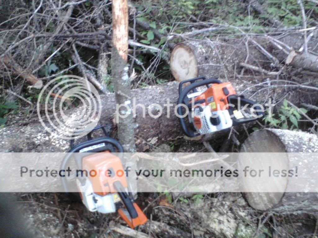 Just added 2 used saws, Stihl MS250 and MS170