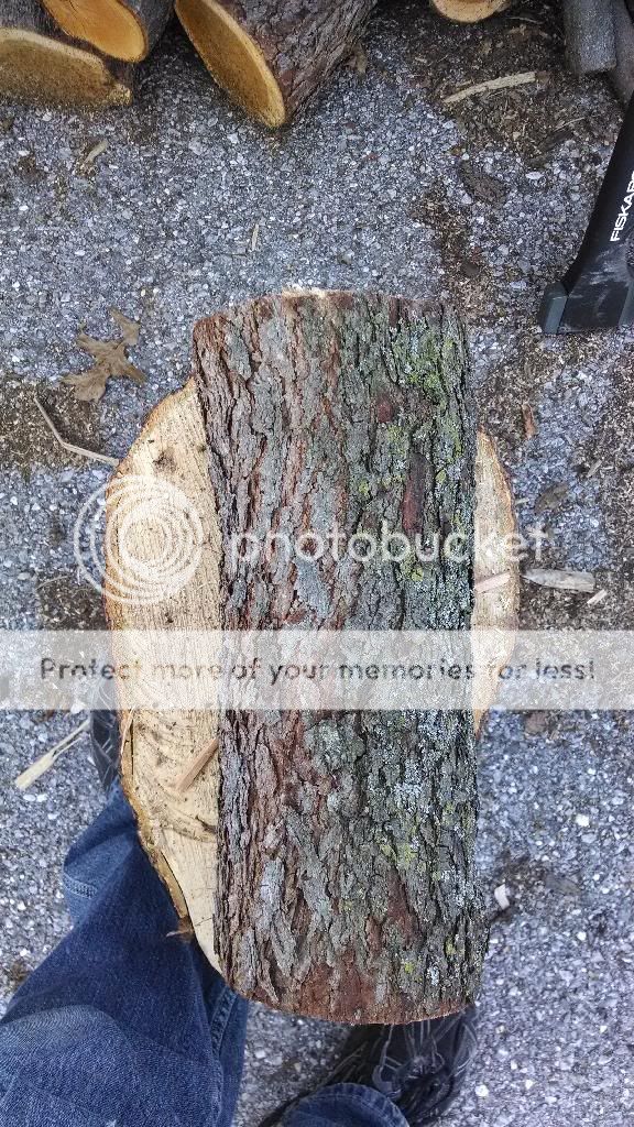 Please - Wood ID