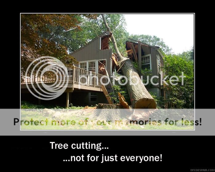 tree-cutting.jpg