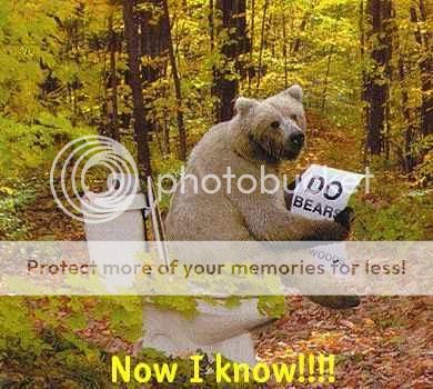bear-shitting-in-the-woods-bathroom-jokes-photographs.jpg