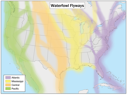 Waterfowlflywaysmap.png