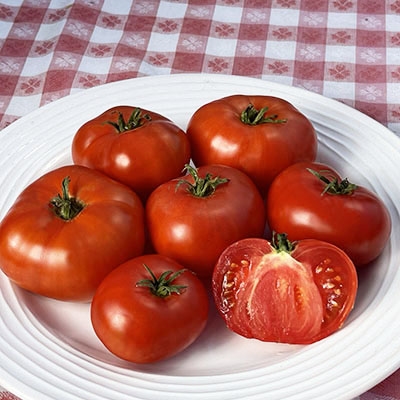 www.tomatofest.com