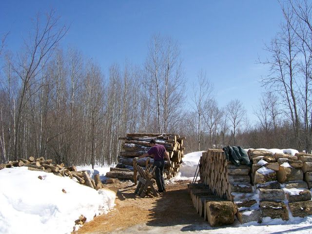 2010 wood season