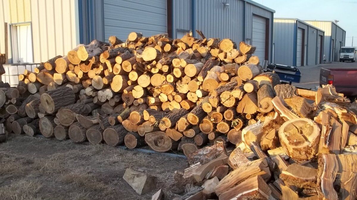 1 Ton of Firewood in my Backyard - Almost 1000 Wood Layers 