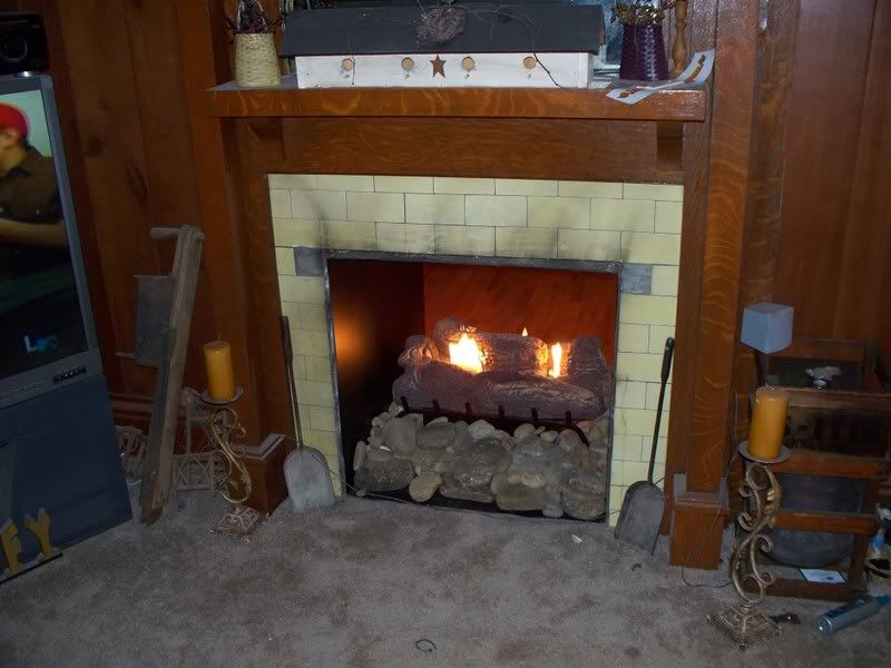 Double sided gas logs