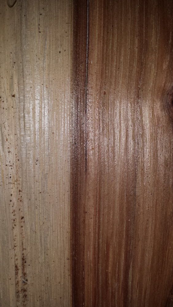 Please help ID this wood