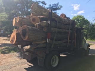Another load of oak logs dropped off.