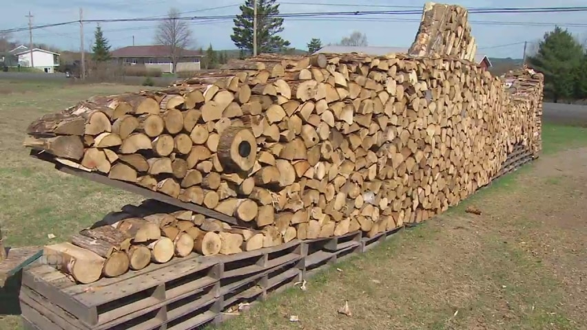 When you're really into firewood stacking