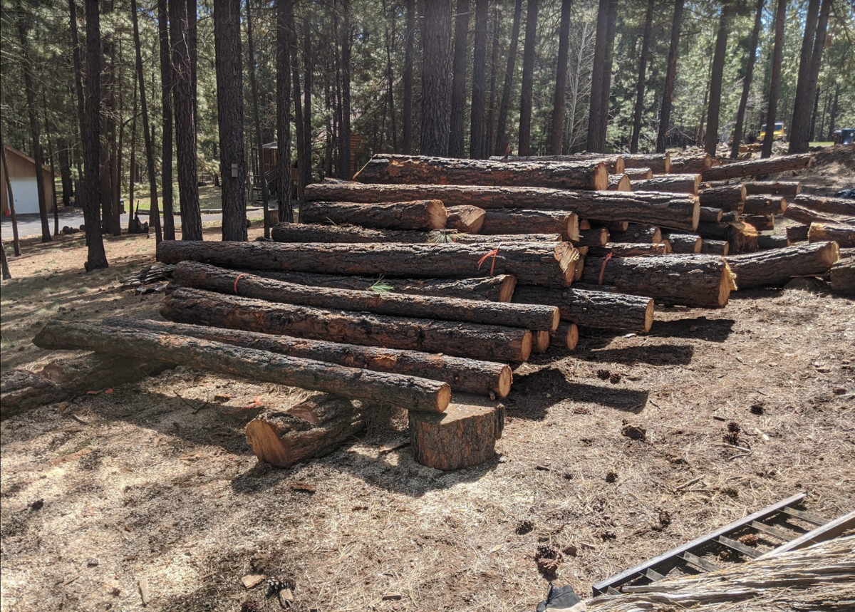Splitting new pine