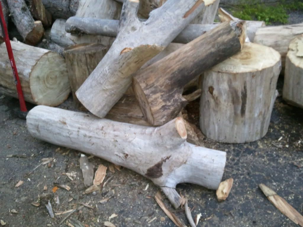 Help me ID This Wood Load