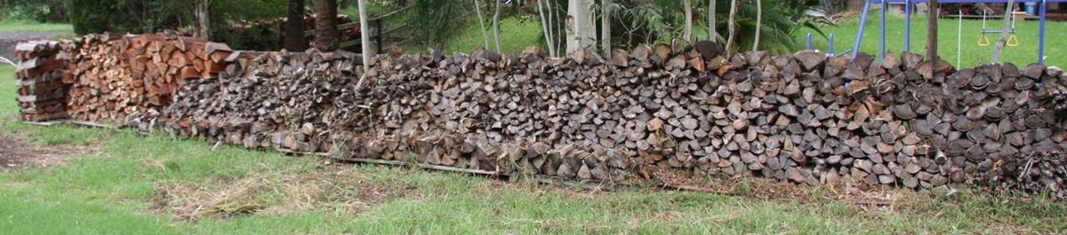 20110202_firewood_pile_5l.jpg