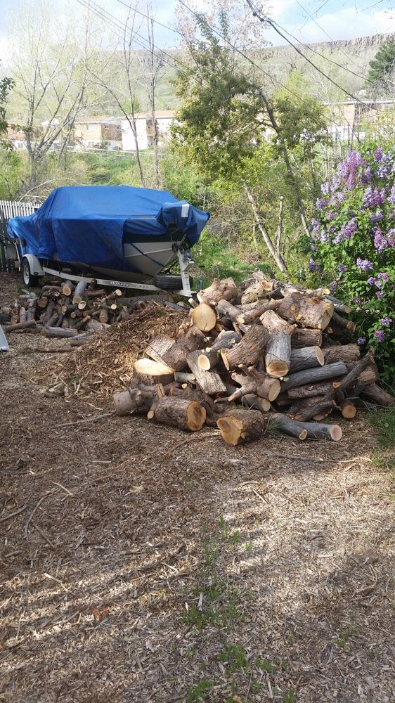 SO much wood available, not enough time to get it