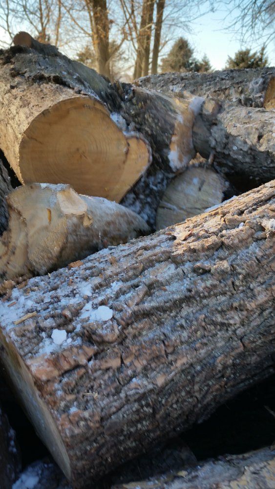 Help identifying wood