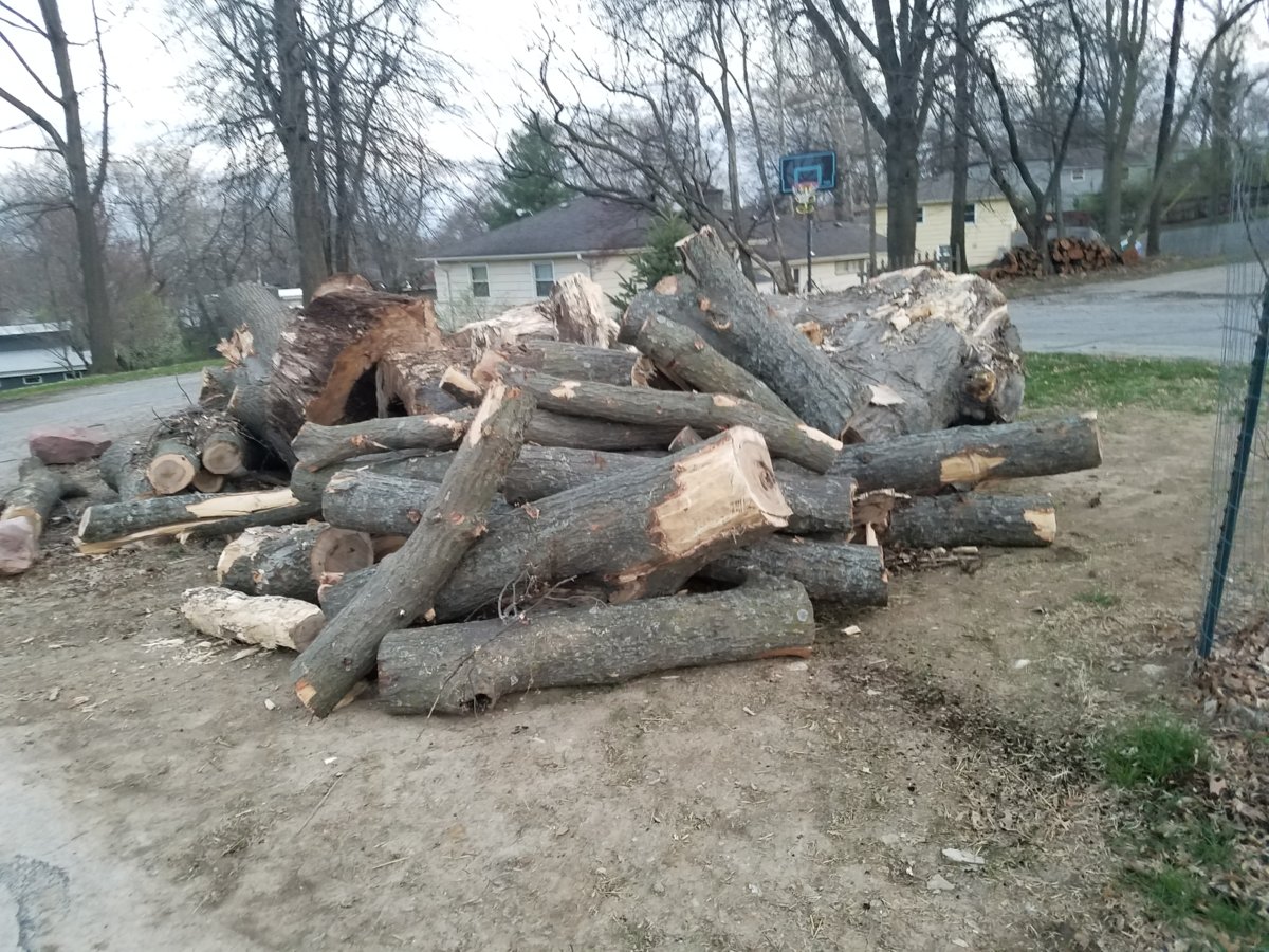 Here's the amount of wood I got for 2 minutes work.
