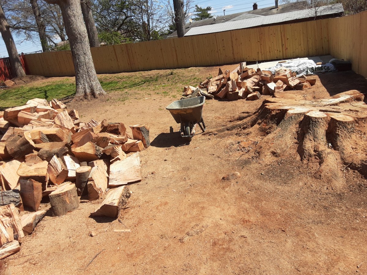 Check out this score of free wood!!!