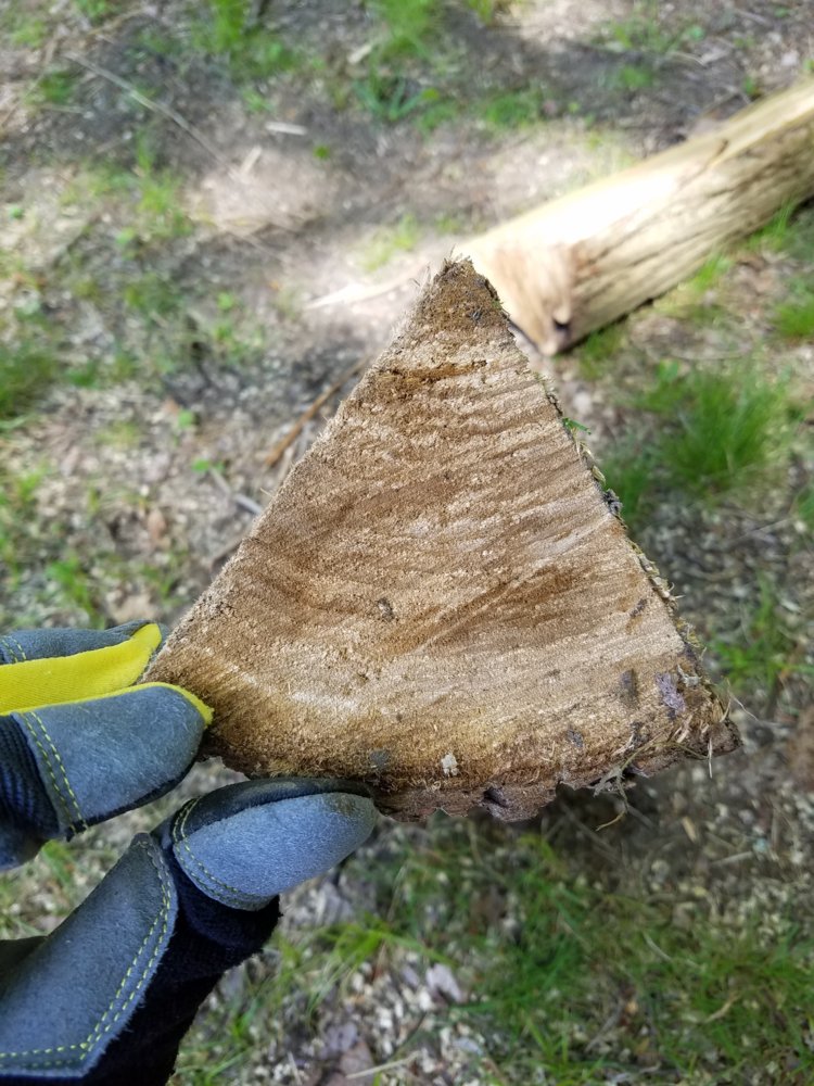 Wood ID Help