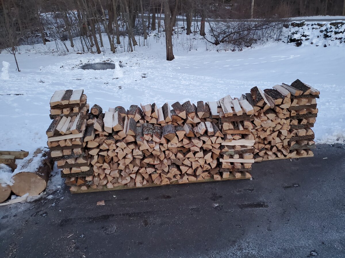 Log Truck Day!