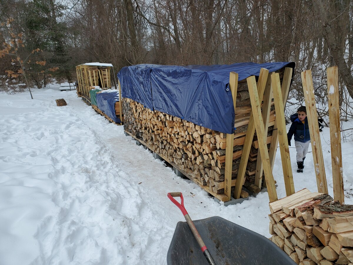 Log Truck Day!