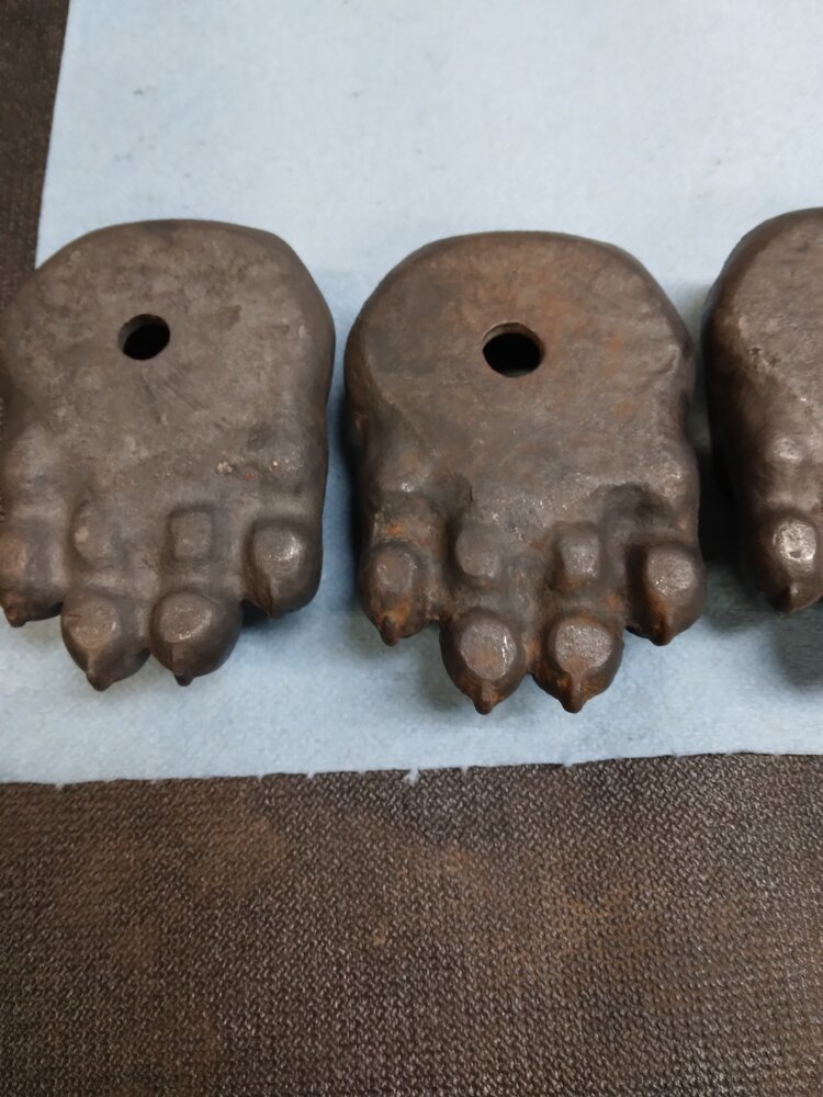 Fisher paw feet question