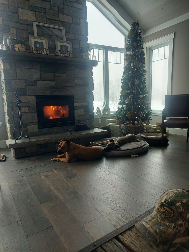 A Hound and a Wood Stove