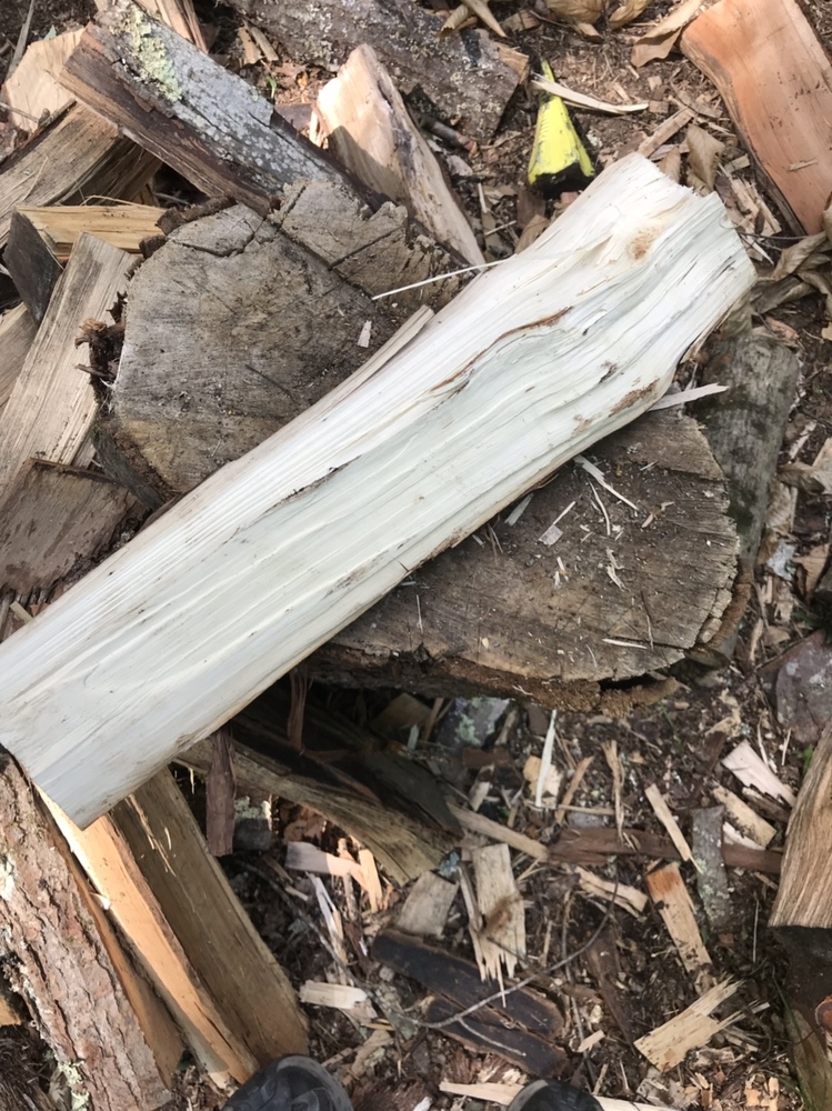 Wood ID from Connecticut