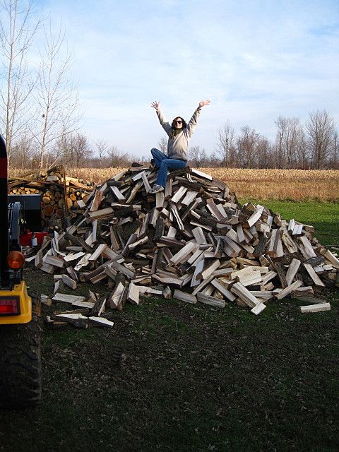 Great day to be out by the wood pile!