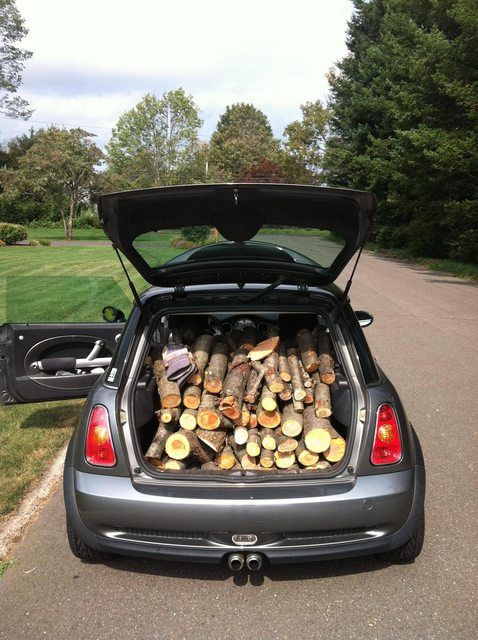 I really need a pickup truck now that I am collecting firewood
