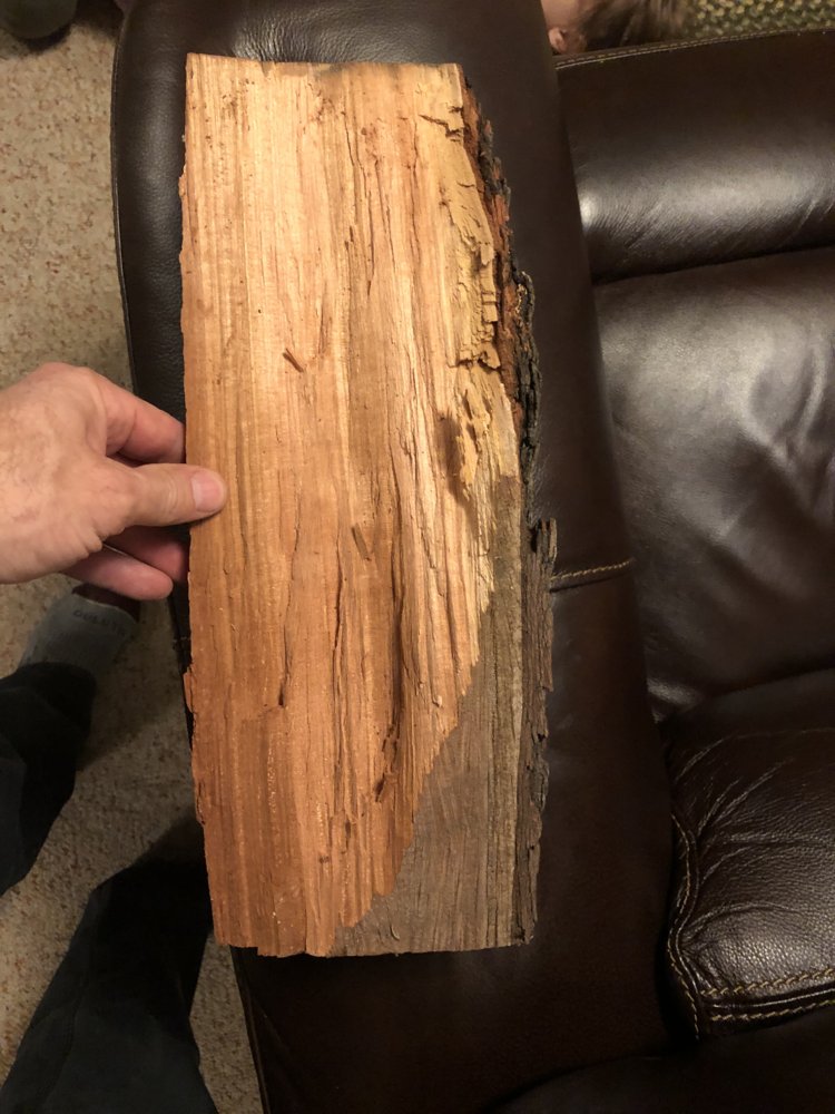 Need a wood ID