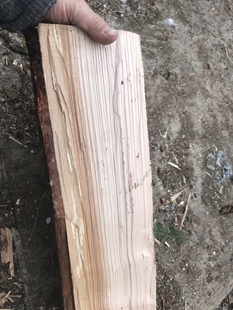 Help ID cut wood