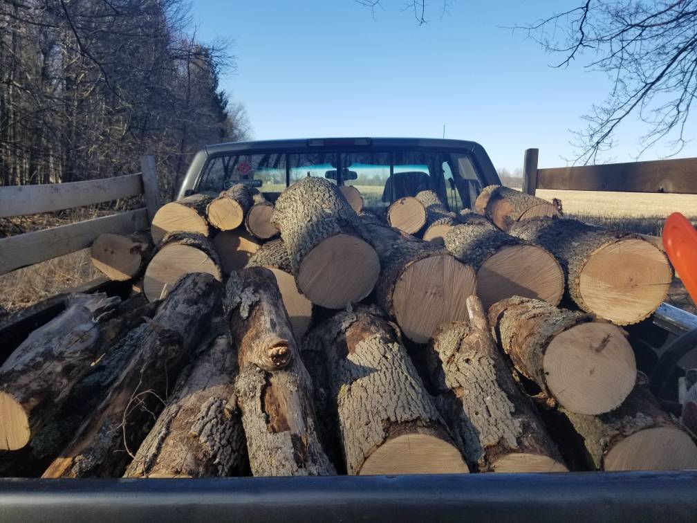 How much wood is here?