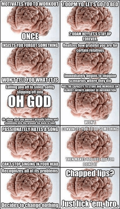 brain.png