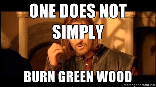 burn green wood.jpg