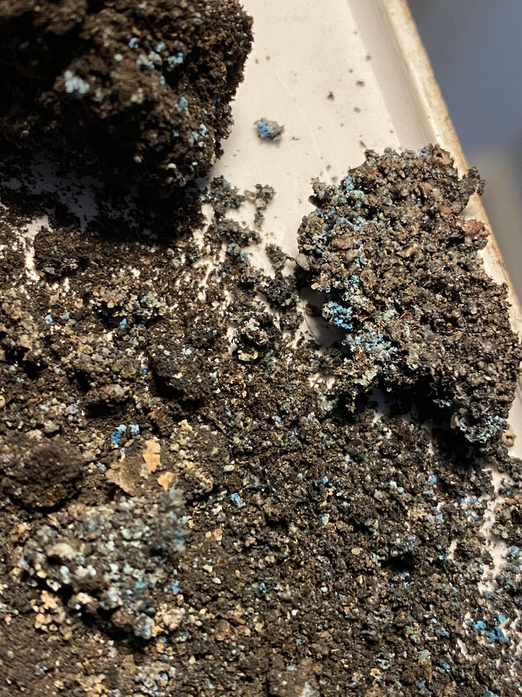 Turquoise Speckled Ash